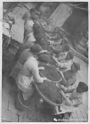 湖北赤壁青磚茶之現狀探析